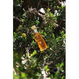 Huile d’Argan Alimentaire Pure – Trésor du Maroc 100ml