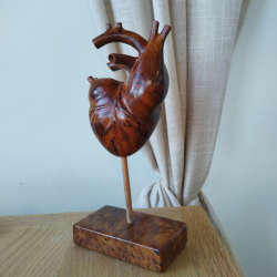 Sculpture anatomique de cœur – cadeaux pour les amoureux; anniversaire