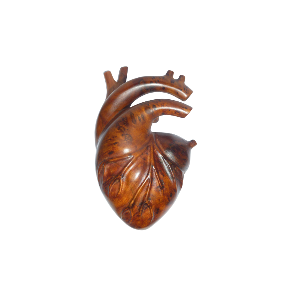 Sculpture anatomique de cœur – cadeaux pour les amoureux; anniversaire