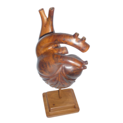 Sculpture anatomique de cœur – cadeaux pour les amoureux; anniversaire