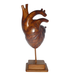 Sculpture anatomique de cœur – cadeaux pour les amoureux; anniversaire