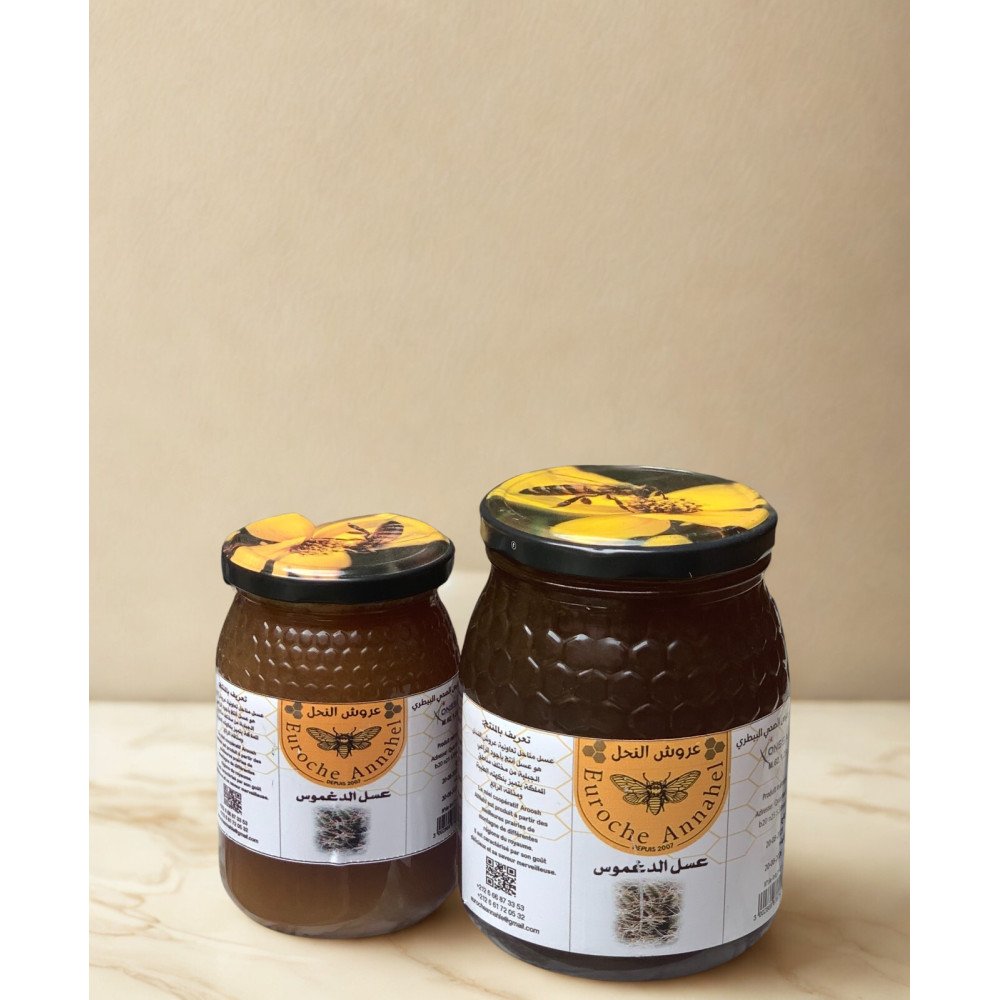 Pack Miel de Daghmous 500g & 1kg Pack Miel de Daghmous 500g & 1kg