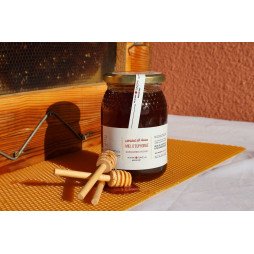 Miel d’Euphorbe 1kg