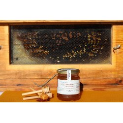 Miel d’Euphorbe 1kg Miel d’Euphorbe 1kg